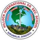 Hillock International School