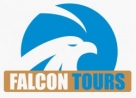 DohaQatar Desert Safari Falcon Tours