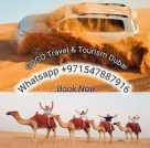 Go Go Desert Safari Tours Dubai