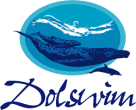 Dolswim Ltd