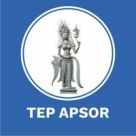 TEP APSOR