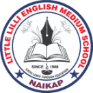 LITTLE LILLI ENGLISH MEDIUM SCHOOL